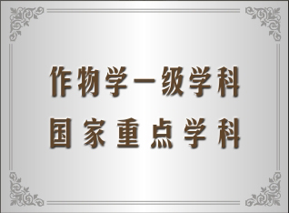 r(nng)I(y)W(xu)su